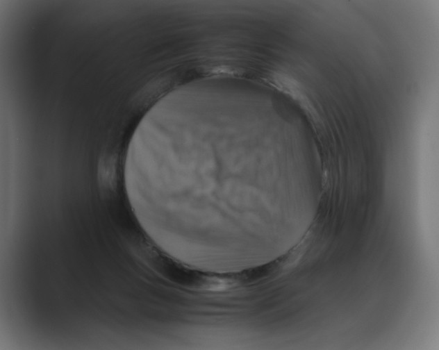 X0000088420167200706191222