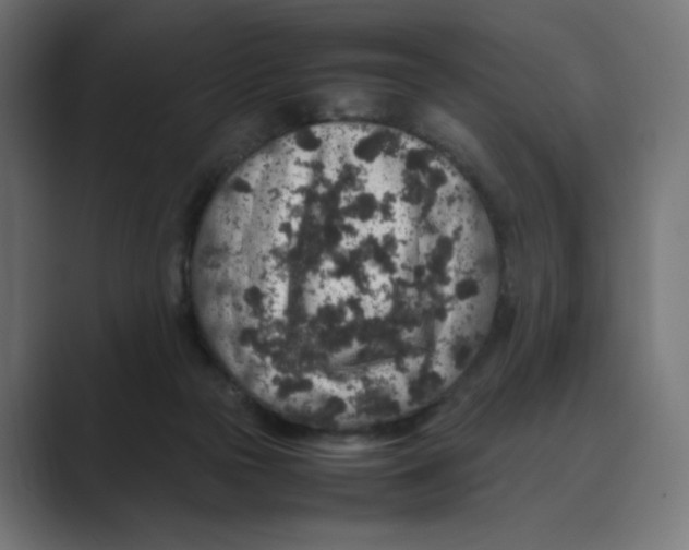 X0000088420169200706191222