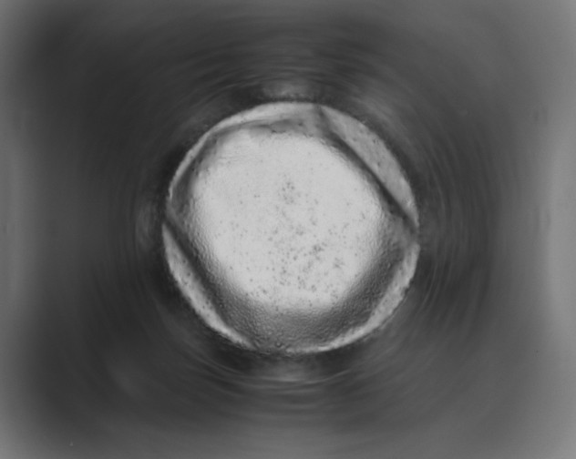 X0000088420171200706191222