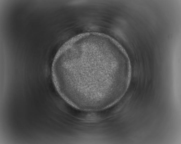 X0000088420173200706191222
