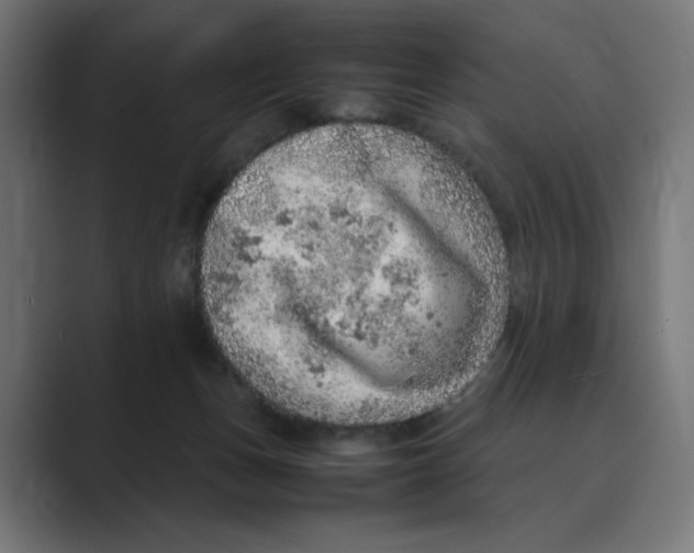 X0000088420175200706191222