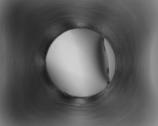 X0000088420176200706191222