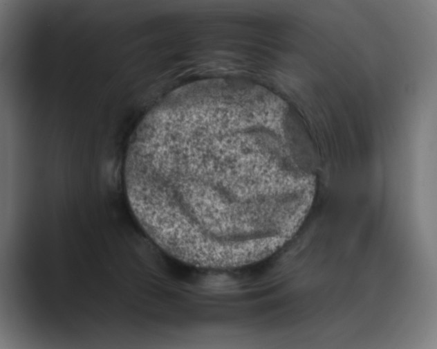 X0000088420177200706191222