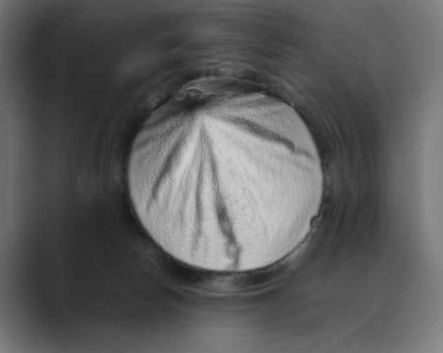 X0000088420178200706191222