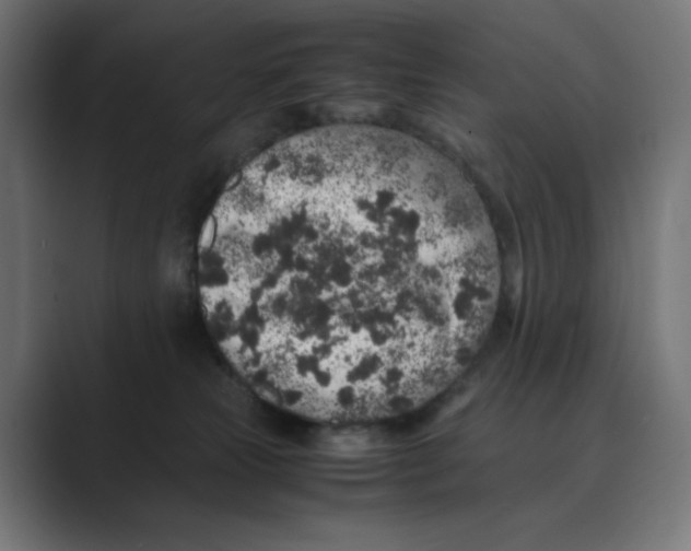 X0000088420181200706191222
