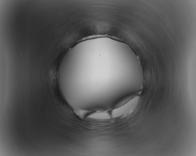 X0000088420184200706191222