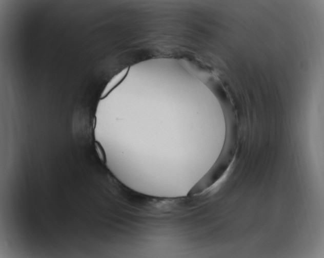 X0000088420186200706191222