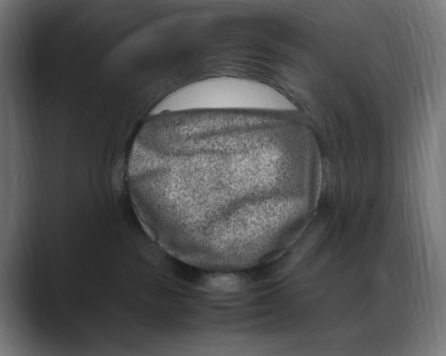 X0000088420189200706191222