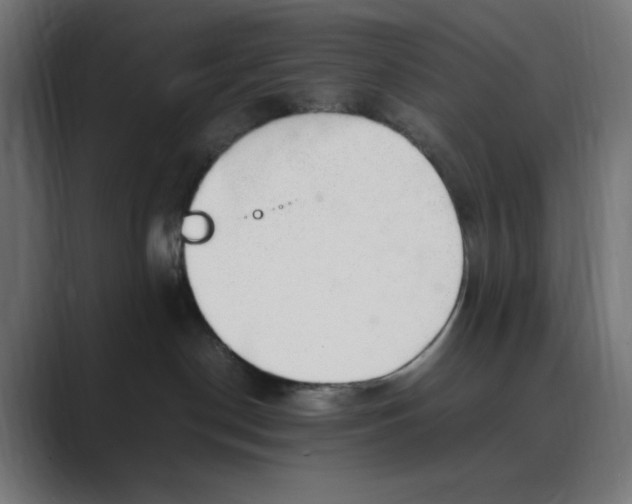 X0000088420190200706191222