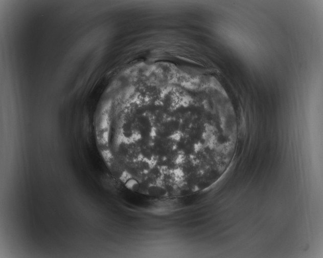 X0000088420191200706191222