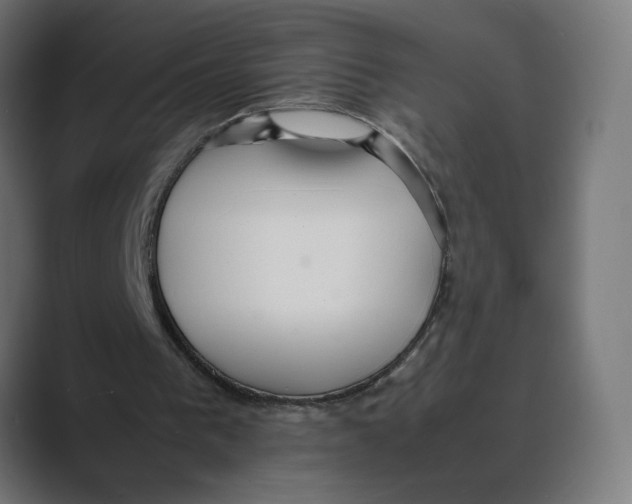 X0000088420193200706191222