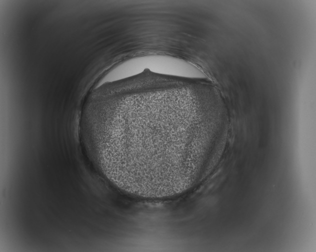 X0000088420194200706191222