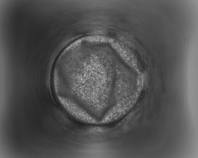 X0000088420195200706191222