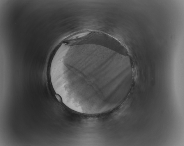 X0000088420196200706191222