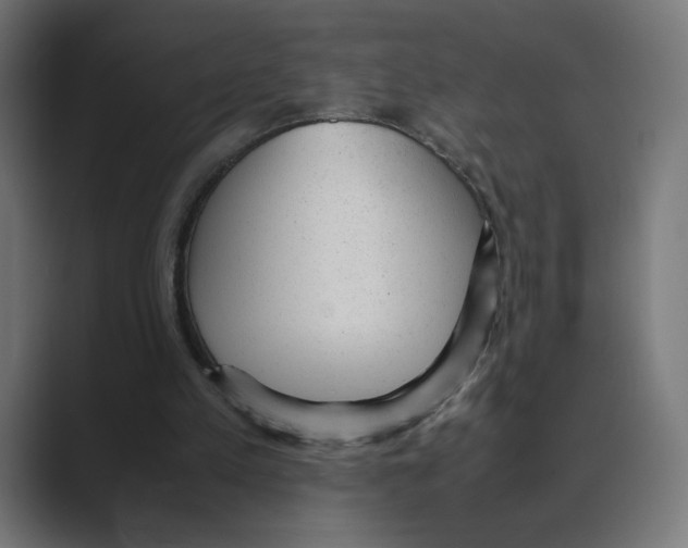X0000088420197200706191222