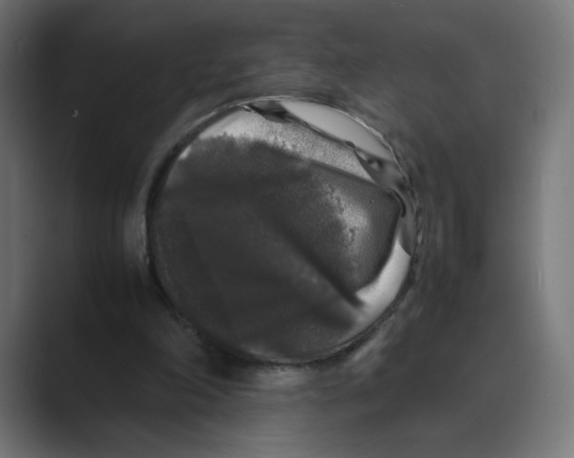 X0000088420198200706191222
