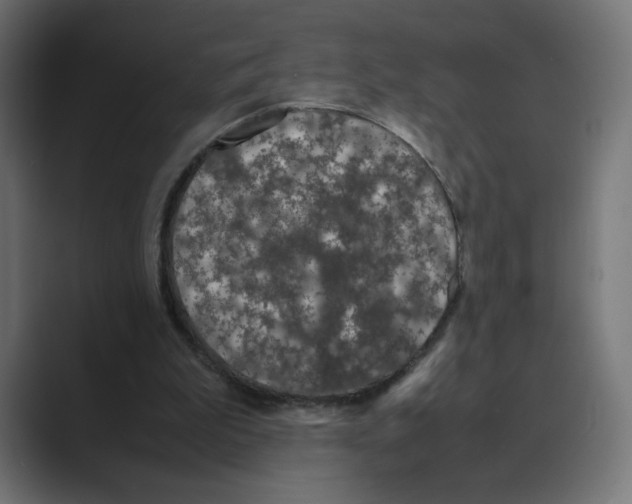X0000088420199200706191222
