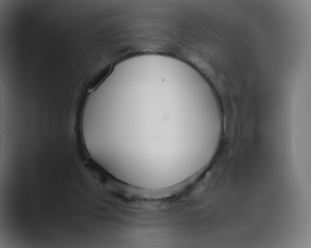 X0000088420201200706191222