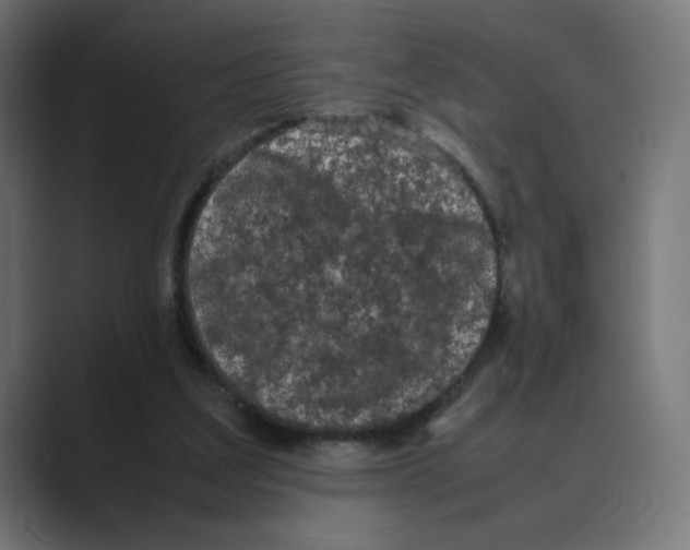 X0000088420203200706191222