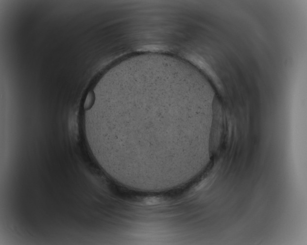 X0000088420204200706191222