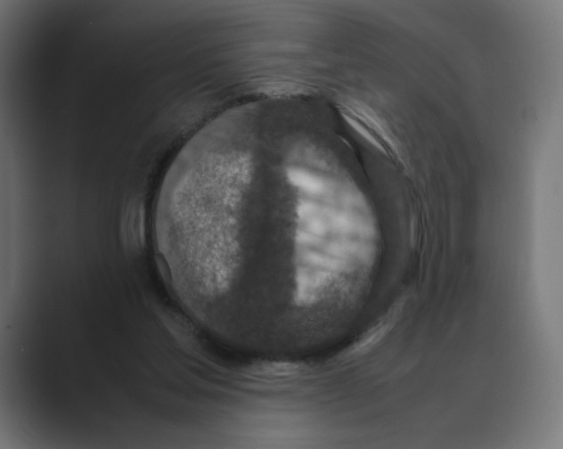 X0000088420205200706191222