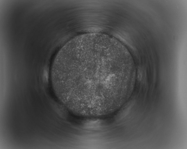 X0000088420206200706191222