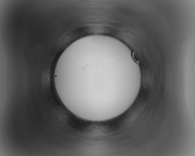 X0000088420207200706191222