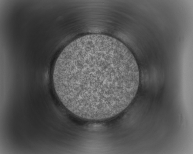 X0000088420208200706191222