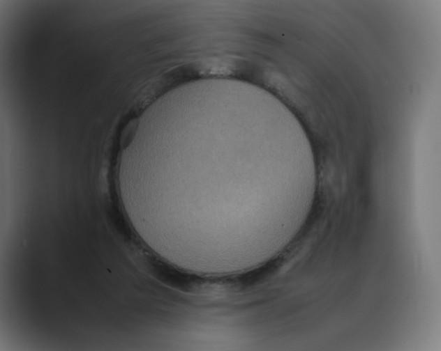 X0000088420209200706191222