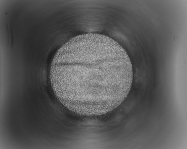X0000088420210200706191222