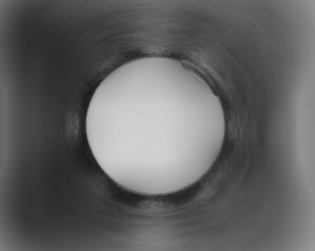 X0000088420211200706191222