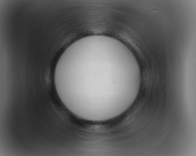 X0000088420212200706191222