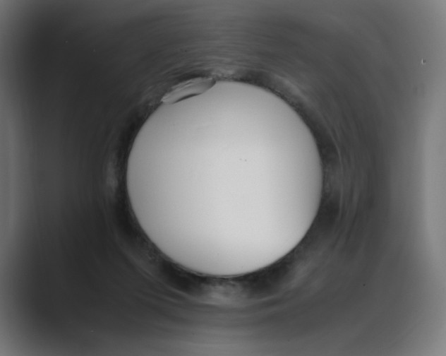 X0000088420215200706191222