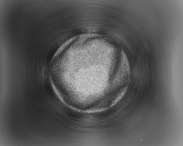 X0000088420218200706191222
