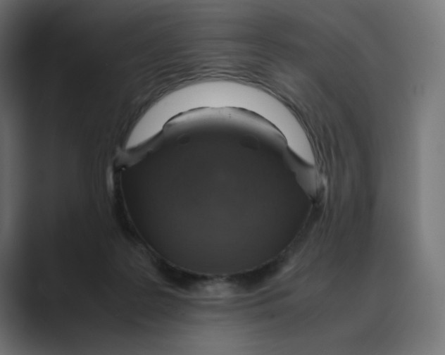 X0000088420219200706191222