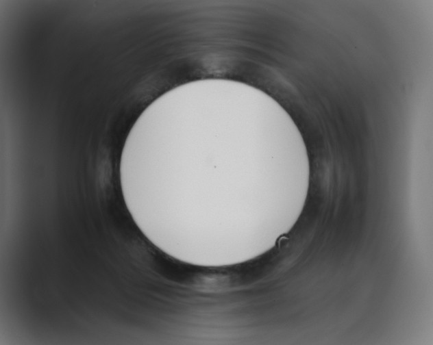 X0000088420220200706191222