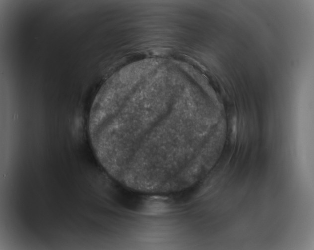 X0000088420222200706191222