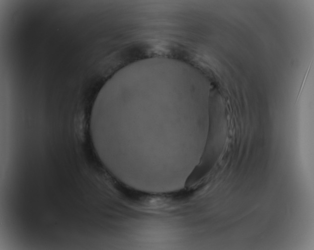 X0000088420223200706191222