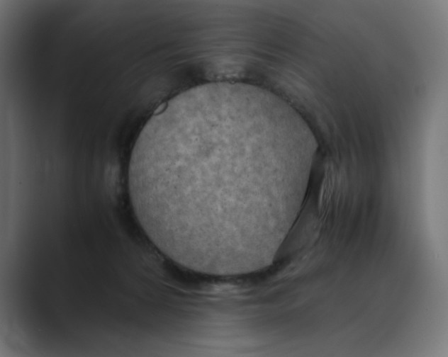 X0000088420224200706191222