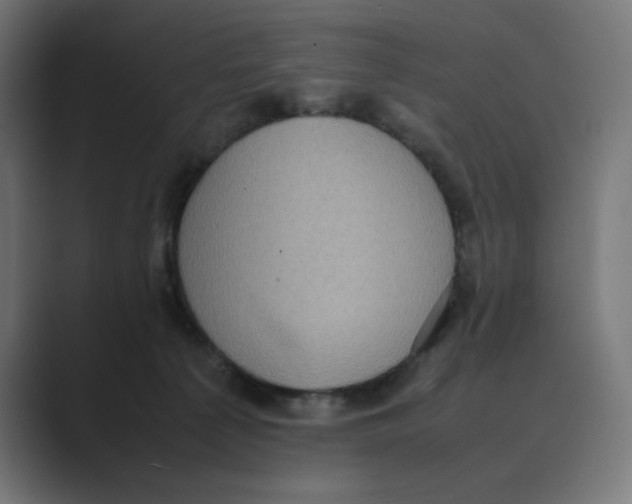 X0000088420225200706191221