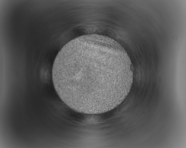 X0000088420226200706191221