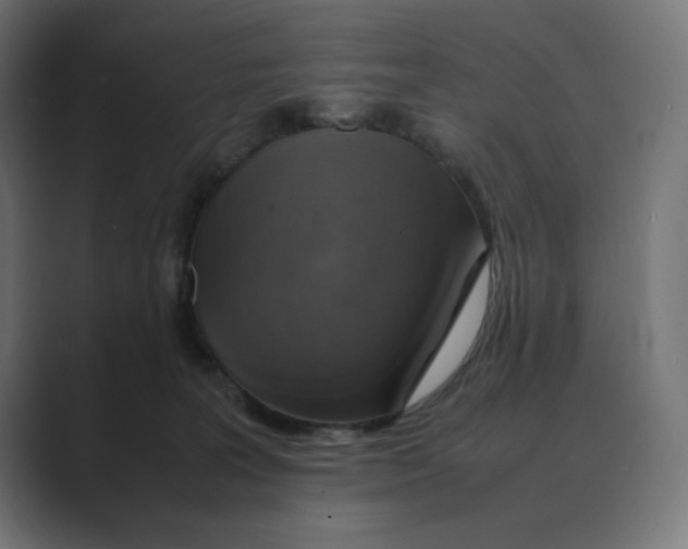 X0000088420227200706191221