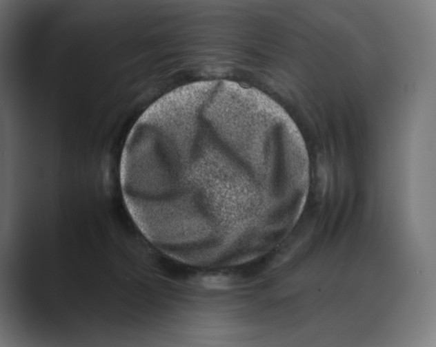 X0000088420228200706191221