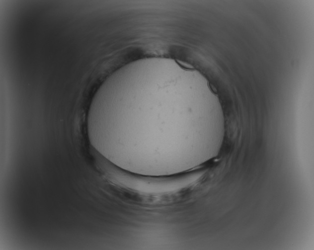 X0000088420229200706191221