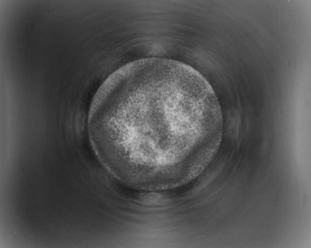 X0000088420230200706191221