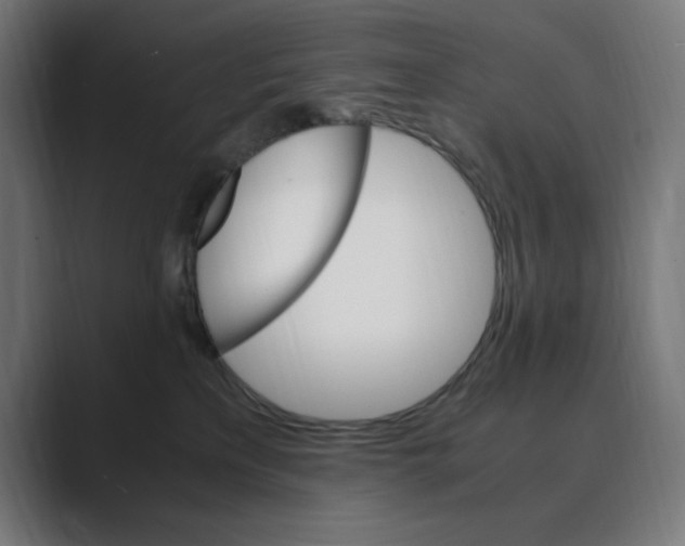 X0000088420233200706191221