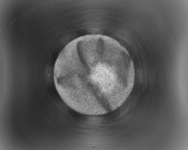 X0000088420234200706191221