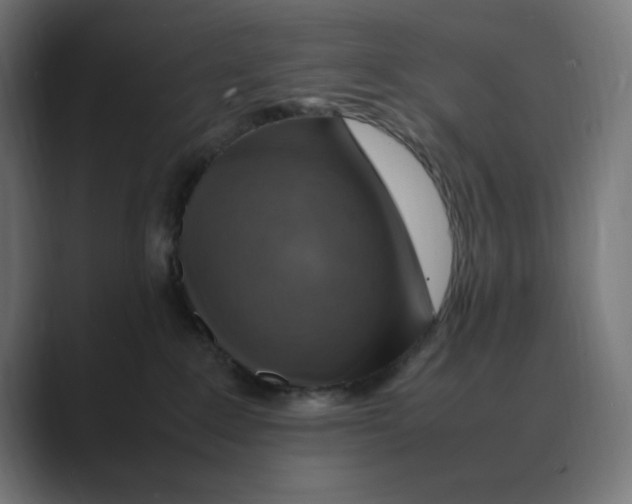 X0000088420235200706191221