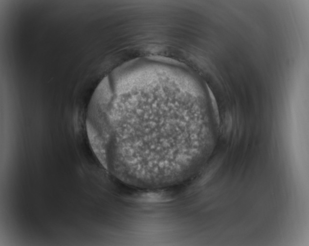 X0000088420236200706191221