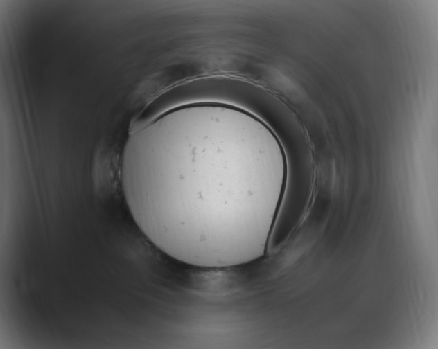X0000088420237200706191221